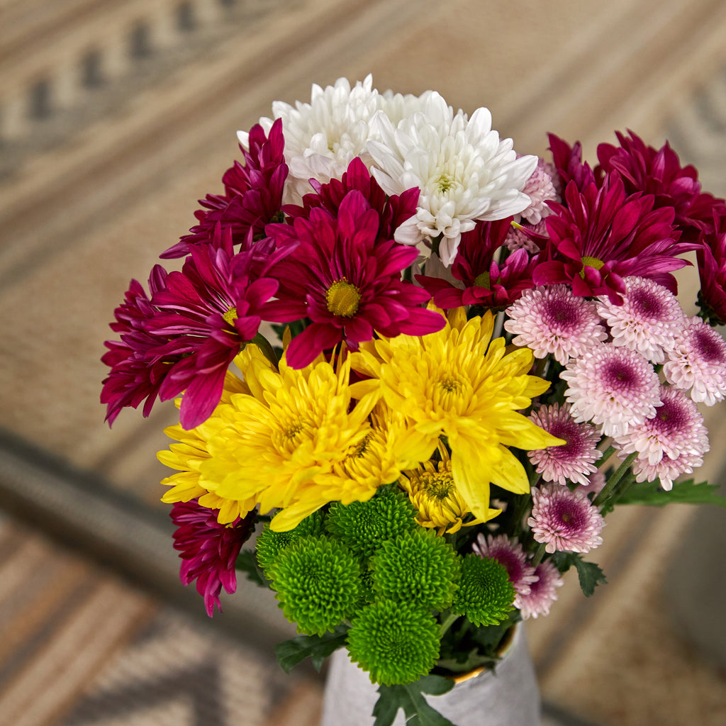 Fresh-Cut Small Rainbow Poms Flower Bunch, Minimum of 7 Stems, Colors Vary image 5