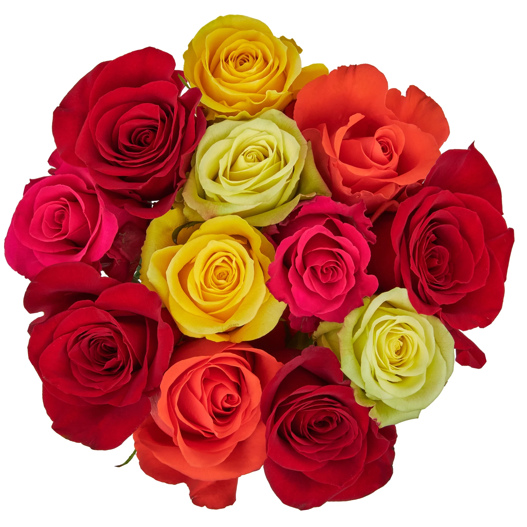 Fresh-Cut Dozen Roses, 12 Stems Assorted Rainbow Colors, Colors Vary image 0