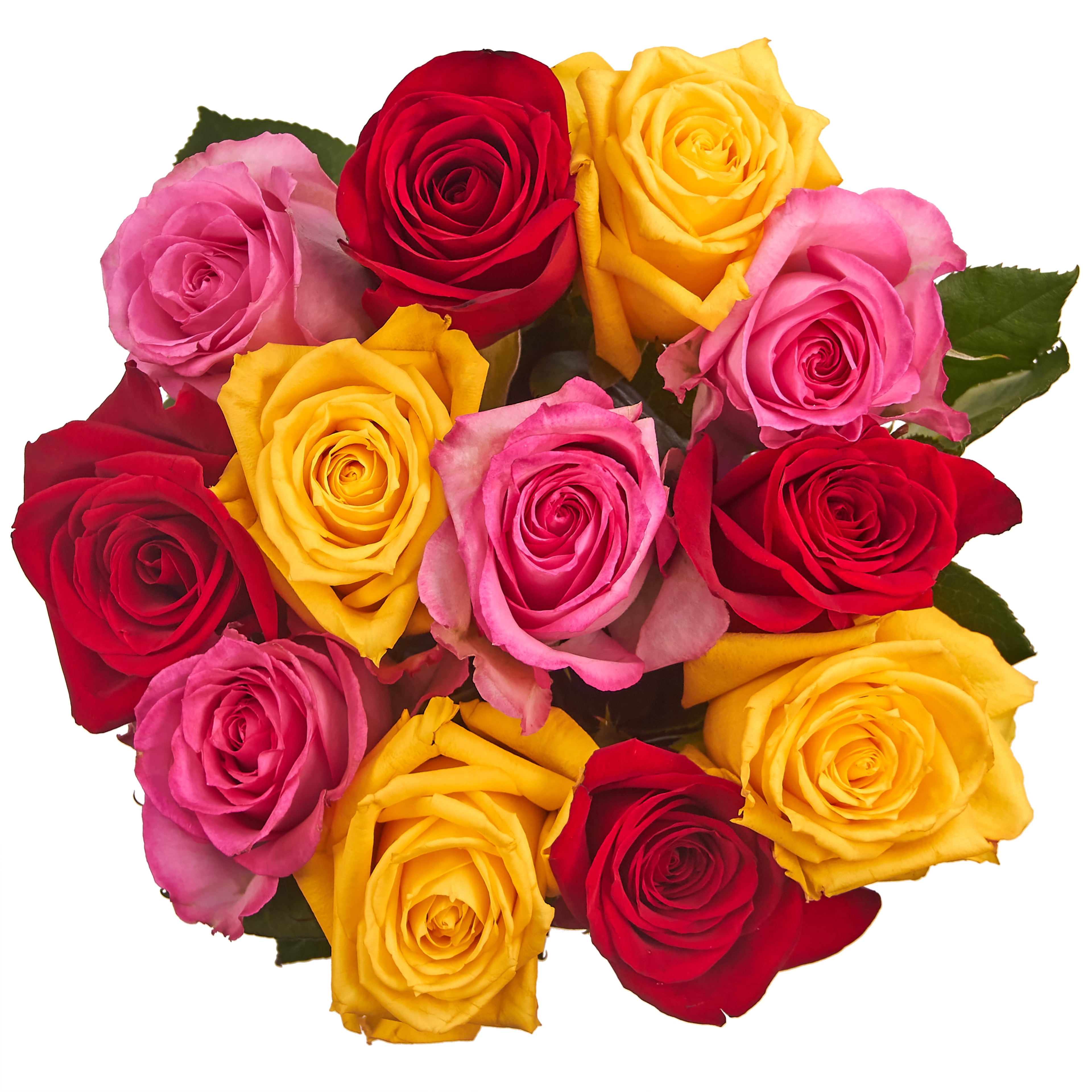 Fresh-Cut Dozen Roses, 12 Stems Assorted Rainbow Colors, Colors Vary image 2