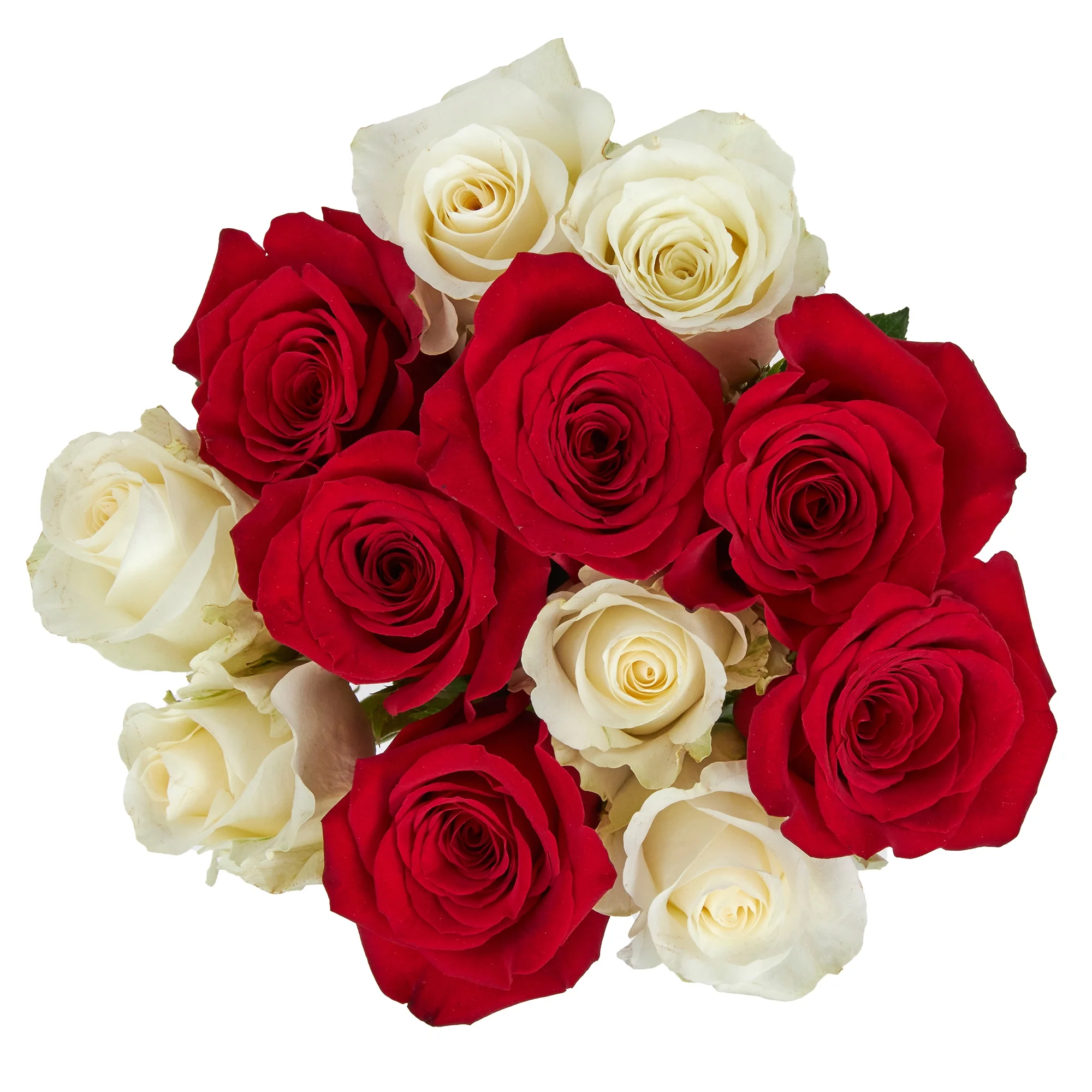 Fresh-Cut Dozen Roses, 12 Stems Assorted Rainbow Colors, Colors Vary image 3