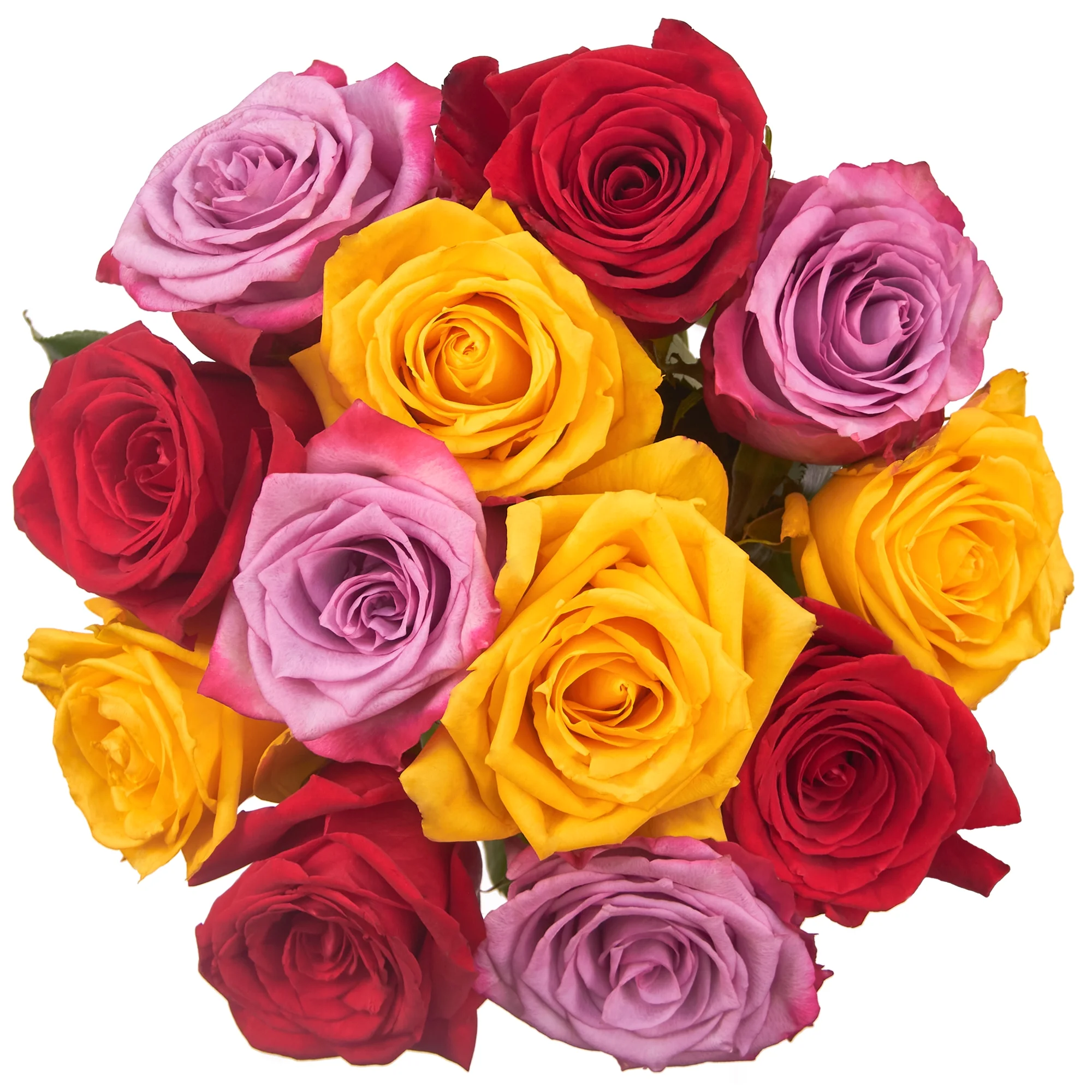Fresh-Cut Dozen Roses, 12 Stems Assorted Rainbow Colors, Colors Vary image 4