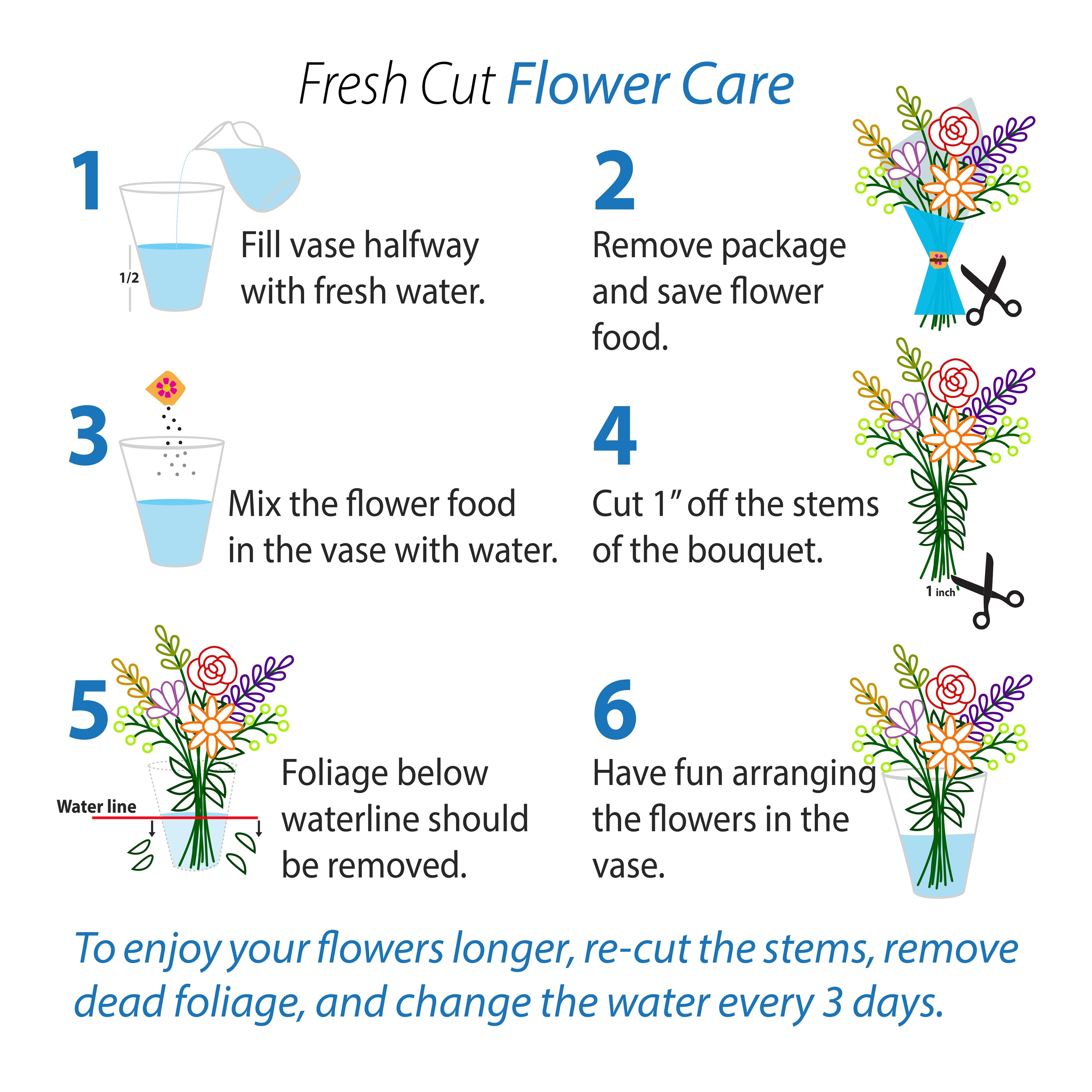 Fresh-Cut Small Rainbow Poms Flower Bunch, Minimum of 7 Stems, Colors Vary image 6