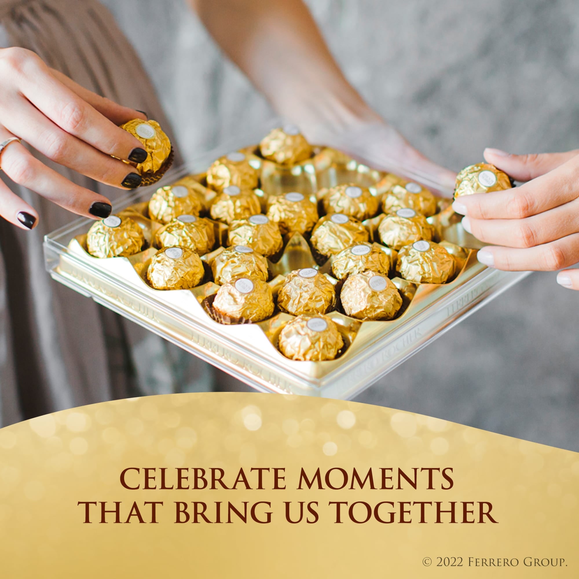 Fine Hazelnut Milk Chocolate, 12 Count, Pack of 6 Individually Wrapped Chocolate Candy Gift Boxes, 5.3 Oz image 4