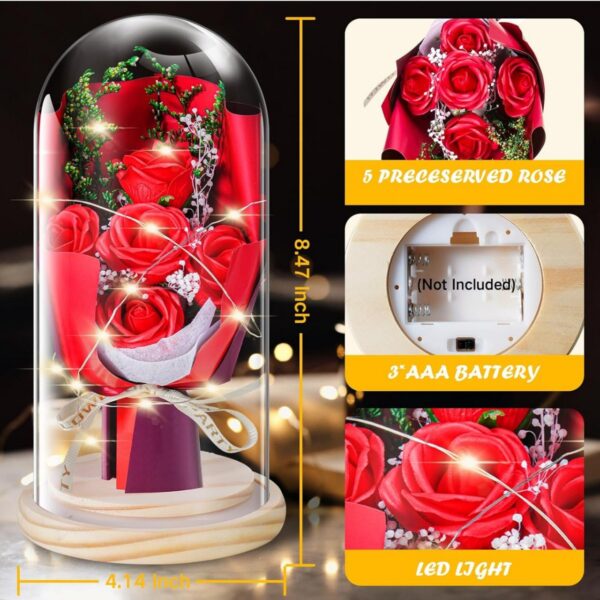 Preserved Flowers Gifts for Her, Preserved Rose Bouquet in Glass Flower, Light Flower Rose Gifts Perfect for Mom Girlfriend Wife, Perfect for Birthday Anniversary Valentine's Day(Red Rose)