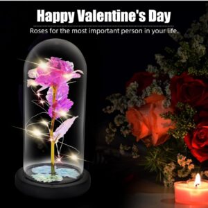 Preserved Flowers Gifts for Her, Preserved Rose Bouquet in Glass Flower, Light Flower Gifts Perfect for Mom Girlfriend Wife, Perfect for Birthday Anniversary Valentine's Day(Red Rose)