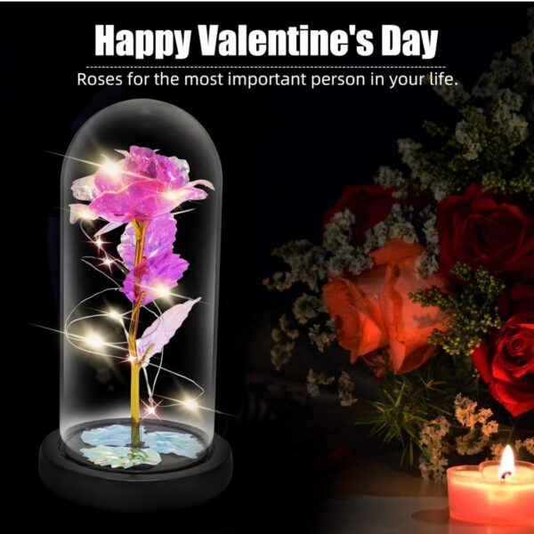 Preserved Flowers Gifts for Her, Preserved Rose Bouquet in Glass Flower, Light Flower Gifts Perfect for Mom Girlfriend Wife, Perfect for Birthday Anniversary Valentine's Day(Red Rose)