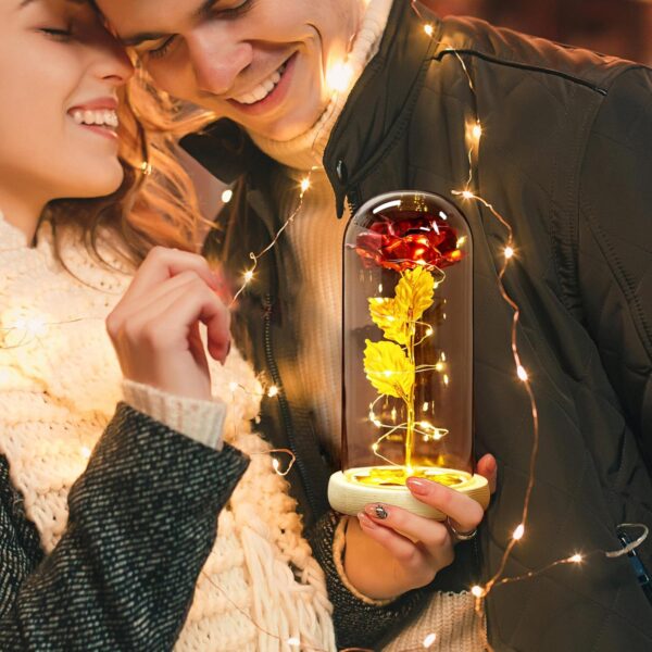 Preserved Flower Rose Gifts for Her, Rose in Glass Dome with LED Lights, Gifts for Wife Mom Grandma, Valentines Day Christmas Mother'S Day Giftsenchanted Red Silk Rose Flowers