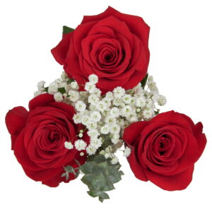 Valentine'S Day Mini Rose plus Bouquet, Fresh-Cut Flowers, 6 Stems, Colors Vary