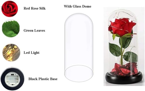 Led Lights Red Rose Gift in Glass Dome Perfect Present for Girlfriend Boyfriend GF BF Husband Wife Christmas Birthday Anniversary