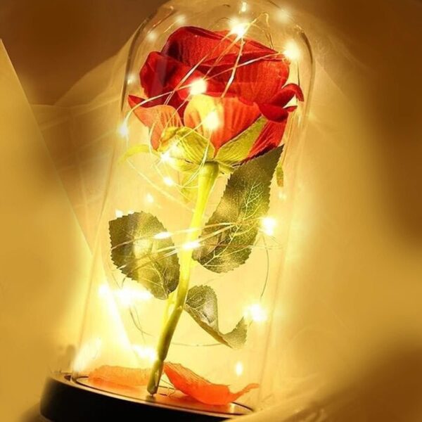 Led Lights Red Rose Gift in Glass Dome Perfect Present for Girlfriend Boyfriend GF BF Husband Wife Christmas Birthday Anniversary