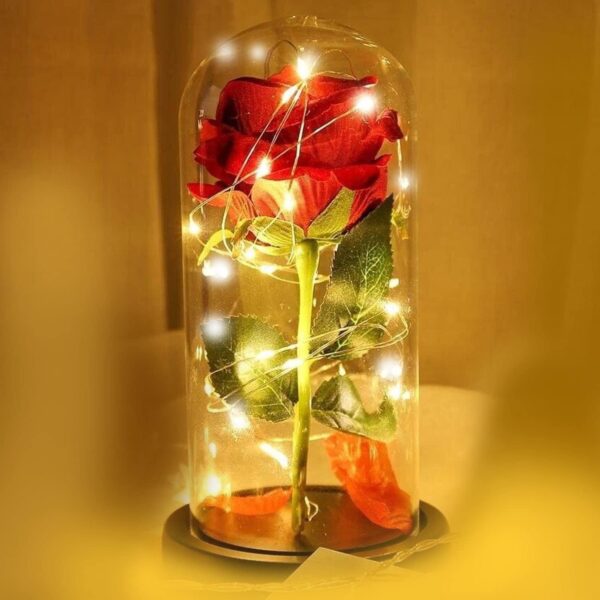 Led Lights Red Rose Gift in Glass Dome Perfect Present for Girlfriend Boyfriend GF BF Husband Wife Christmas Birthday Anniversary