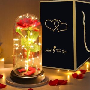 Led Lights Red Rose Gift in Glass Dome Perfect Present for Girlfriend Boyfriend GF BF Husband Wife Christmas Birthday Anniversary
