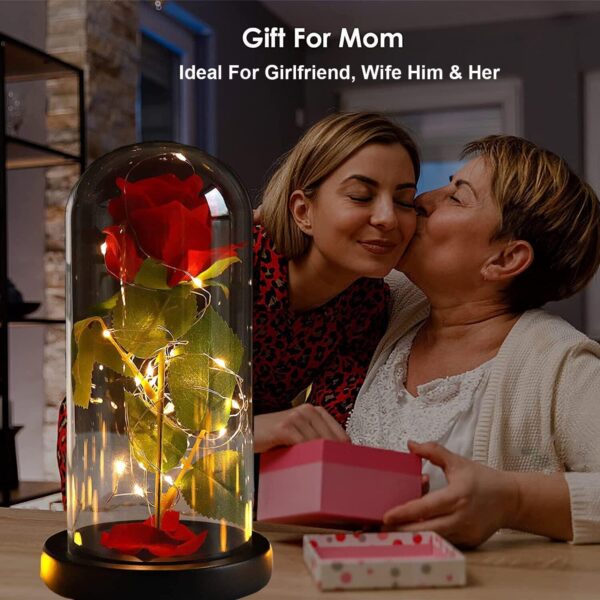 Led Lights Red Rose Gift in Glass Dome Perfect Present for Girlfriend Boyfriend GF BF Husband Wife Christmas Birthday Anniversary