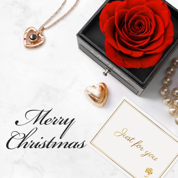 Preserved Real Rose Gift Box with I Love You Necklace, Handmade Eternal Rose Flower Gifts for Mum Mother Women Wife Girlfriend Her on Mothers Day, Birthday, Anniversary, Valentines Day, Christmas