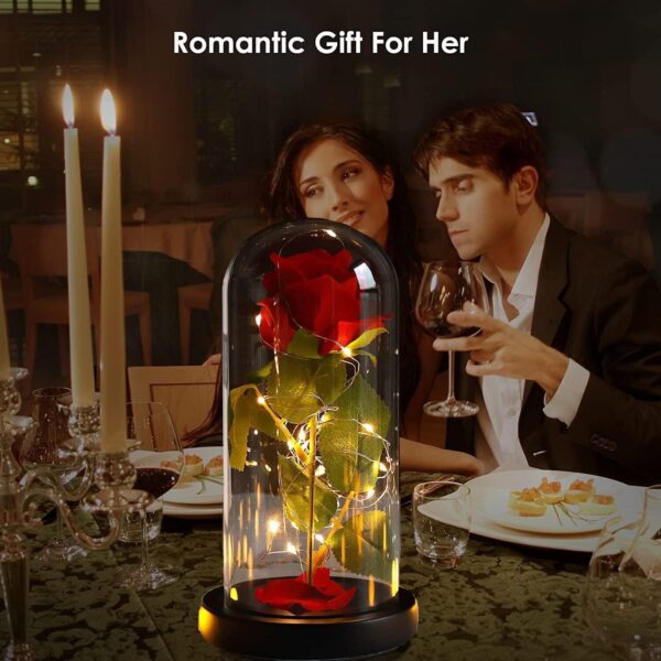 Led Lights Red Rose Gift in Glass Dome Perfect Present for Girlfriend Boyfriend GF BF Husband Wife Christmas Birthday Anniversary